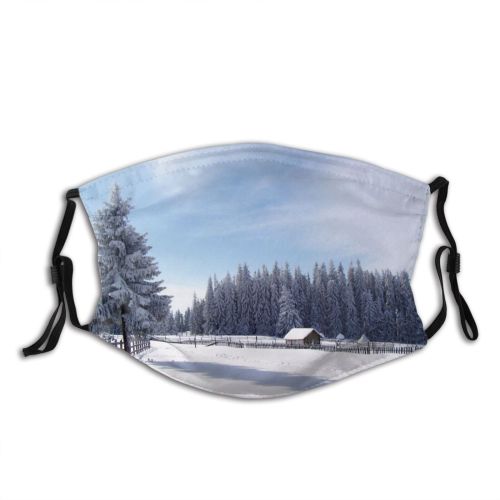 yanfind Winter Lamp Spruce Winter Colorado Balsam Light Shortleaf Spruce Snow Pine Forest Dust Washable Reusable Filter and Reusable Mouth Warm Windproof Cotton Face