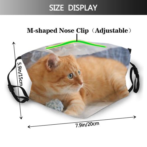 yanfind Fur Yarn Knitting Young Wool Cat Game Cute Kitty Knit Ginger Ball Dust Washable Reusable Filter and Reusable Mouth Warm Windproof Cotton Face