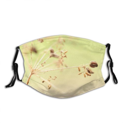 yanfind Macro Insect Leaf Organism Plant Twig Plant Stem Spring Brittle Flower Dust Washable Reusable Filter and Reusable Mouth Warm Windproof Cotton Face