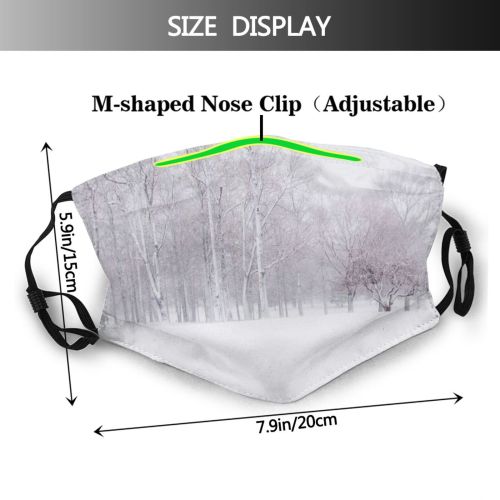 yanfind Winter Left Field Winter Natural Atmospheric Leaves Landscape Light Cloudy Snow Tree Dust Washable Reusable Filter and Reusable Mouth Warm Windproof Cotton Face