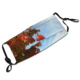 yanfind Maple Sky Autumn Woody Leaves Sky Plant Fall Branch Clouds Leaf Leaf Dust Washable Reusable Filter and Reusable Mouth Warm Windproof Cotton Face