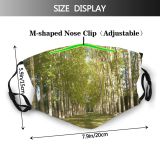 yanfind Versailles Treeshadow Natural Coridoor Woody Landscape Plant Tree Forest Biome Paris Grove Dust Washable Reusable Filter and Reusable Mouth Warm Windproof Cotton Face