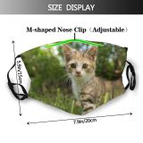 yanfind Attractive Fur Young Little Cat Kitty Cute Cheerful Summer Grass Pretty Playing Dust Washable Reusable Filter and Reusable Mouth Warm Windproof Cotton Face