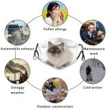 yanfind Isolated Pet Kitten Studio Cat Ragdoll Birman Dust Washable Reusable Filter and Reusable Mouth Warm Windproof Cotton Face