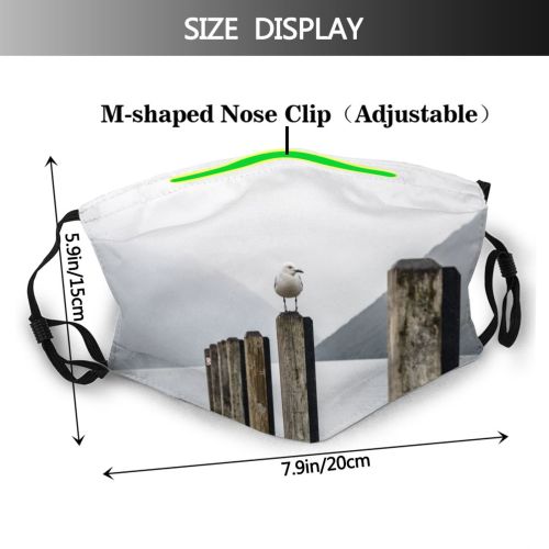 yanfind Jetty Lake Daylight Bird Dawn Mountain Sea Beach Island Dock Mountains Pier Dust Washable Reusable Filter and Reusable Mouth Warm Windproof Cotton Face