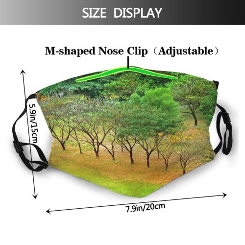 yanfind Temperate Texture Admu Natural Manila Autumn Busch Landscape Vegetation Broadleaf Wood Busches Dust Washable Reusable Filter and Reusable Mouth Warm Windproof Cotton Face