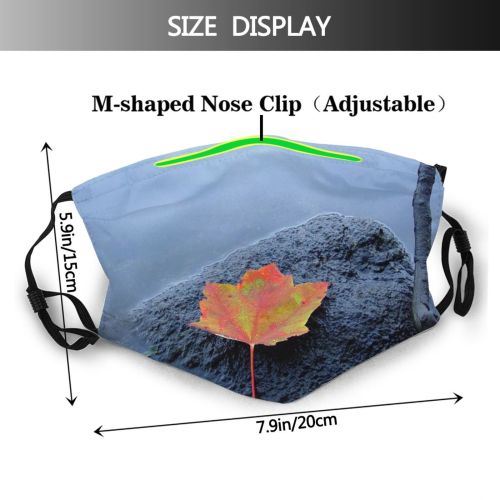 yanfind Maple Stem Grey Autumn Reflection Calm Fall Sky Plant Peaceful Rock Leaf Dust Washable Reusable Filter and Reusable Mouth Warm Windproof Cotton Face