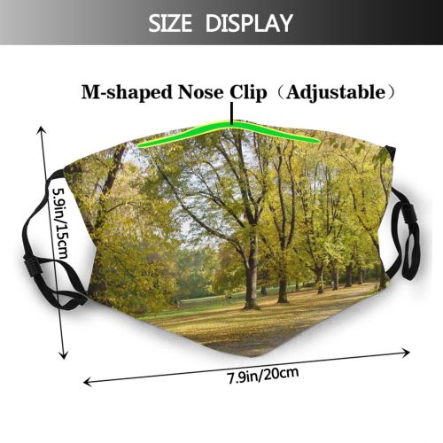 yanfind Natural Autumn Woody Landscape Fall Leaf Sunlight Leaf Tree Tree Park Woodland Dust Washable Reusable Filter and Reusable Mouth Warm Windproof Cotton Face