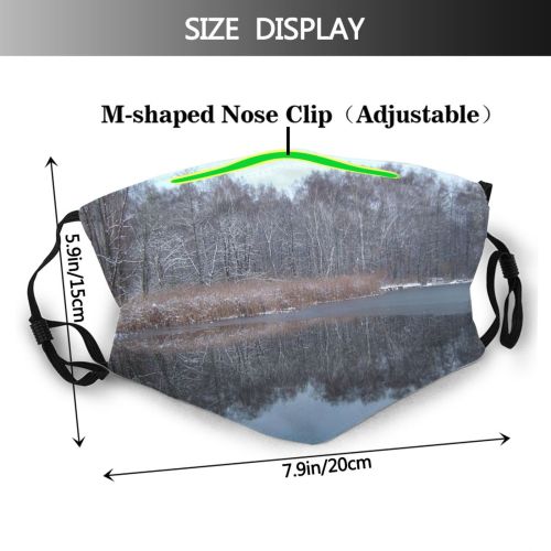 yanfind Winter Frozen Resources Natural Winter Atmospheric Pond Landscape Reflection Sky Ice Leaf Dust Washable Reusable Filter and Reusable Mouth Warm Windproof Cotton Face