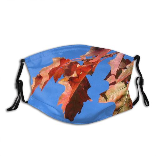 yanfind Maple Sky Shadows Autumn Woody Leaves Maple Sky Plant Branch Plane Denmark Dust Washable Reusable Filter and Reusable Mouth Warm Windproof Cotton Face