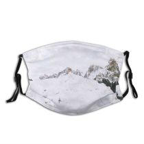 yanfind Idyllic Ice Pine Frosty Mountain Enviroment Snowy Rock Icy Coniferous Frozen Tranquil 013 Dust Washable Reusable Filter and Reusable Mouth Warm Windproof Cotton Face