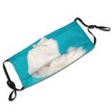 yanfind Isolated Fur Young Cat Kitty Cute Perfect Beautiful Haired Pet Cats Fluffy Dust Washable Reusable Filter and Reusable Mouth Warm Windproof Cotton Face