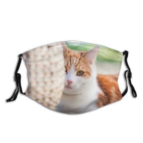yanfind Garden Wicker Fur Young Tiles Striped Cat Kitty Cute Shorthair Big Basket Dust Washable Reusable Filter and Reusable Mouth Warm Windproof Cotton Face