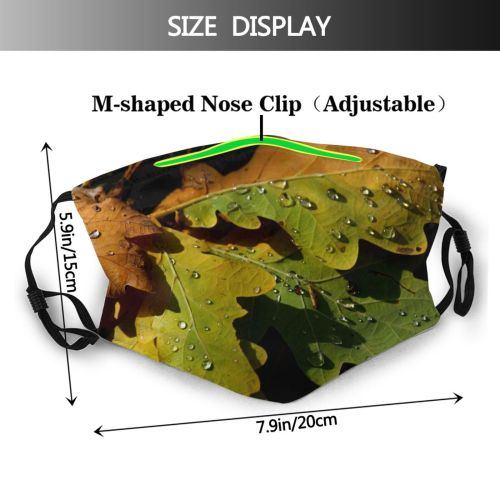yanfind Pathology Forest Drop Leaf Fall Dew Plant Tree Tree Maple Wood Moisture Dust Washable Reusable Filter and Reusable Mouth Warm Windproof Cotton Face