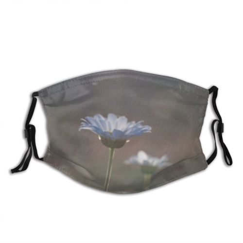 yanfind  Spring Flower Flora Plant Beautiful Bloom Natural Closeup Lights Floral Summer Dust Washable Reusable Filter and Reusable Mouth Warm Windproof Cotton Face