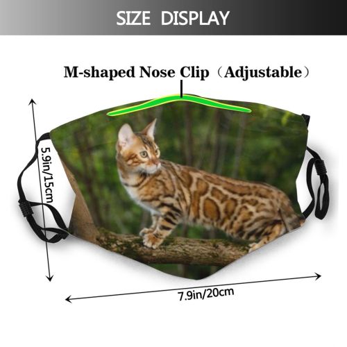 yanfind Garden Fur Hunter Little Cat Kitty Cute Striped Attention Nobody Watching Bengal Dust Washable Reusable Filter and Reusable Mouth Warm Windproof Cotton Face