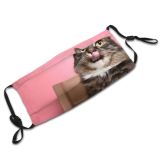 yanfind Fur Young Cat Kitty Cute Box Beautiful Pretty Face Pet Fluffy Eyes Dust Washable Reusable Filter and Reusable Mouth Warm Windproof Cotton Face