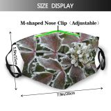 yanfind Winter Flowering Frost Chill Leaf Plant Annual Ice Plant Frost Subshrub Freezing Dust Washable Reusable Filter and Reusable Mouth Warm Windproof Cotton Face
