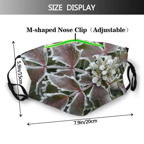 yanfind Winter Flowering Frost Chill Leaf Plant Annual Ice Plant Frost Subshrub Freezing Dust Washable Reusable Filter and Reusable Mouth Warm Windproof Cotton Face