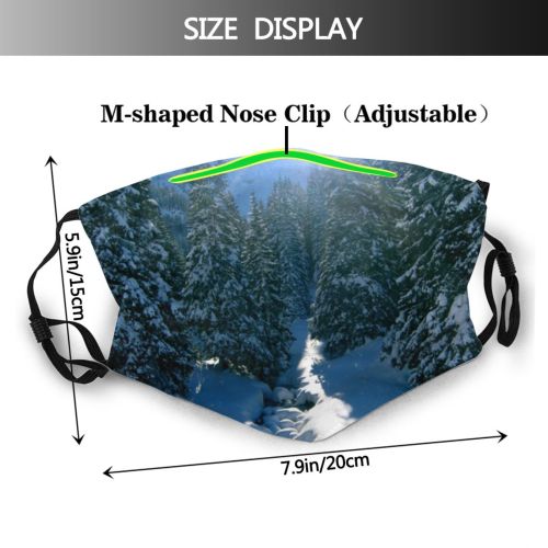 yanfind Winter Mountain Sky River Tree Alps Light Winter Freezing Sun Snow Wilderness Dust Washable Reusable Filter and Reusable Mouth Warm Windproof Cotton Face