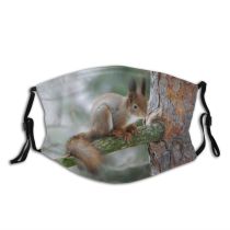 yanfind Winter Vertebrate Tail Squirrel Eurasian Fox Tree Squirrel Grey Furry Whiskers Wildlife Dust Washable Reusable Filter and Reusable Mouth Warm Windproof Cotton Face