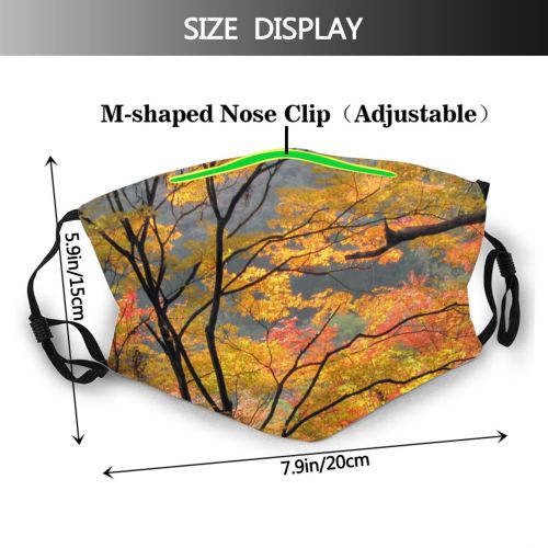 yanfind Temperate Natural Autumn Woody Leaves Landscape Fall Broadleaf Branch Japan Momiji Nagoya Dust Washable Reusable Filter and Reusable Mouth Warm Windproof Cotton Face