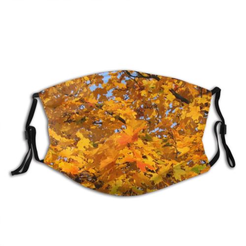 yanfind Leaves Deciduous Woody Maple Leaf Fall Plant Tree Plant Branch Autumn Autumn Dust Washable Reusable Filter and Reusable Mouth Warm Windproof Cotton Face