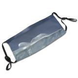 yanfind Winter Cubes Cool Glacier Cloud Sky Ice Ice Isbiter Transparent Isbit Glass Dust Washable Reusable Filter and Reusable Mouth Warm Windproof Cotton Face