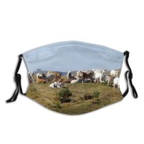 yanfind Grazing Grass Cow Goat Milk Herding Family Grassland Herd Cows Pasture Pasture Dust Washable Reusable Filter and Reusable Mouth Warm Windproof Cotton Face