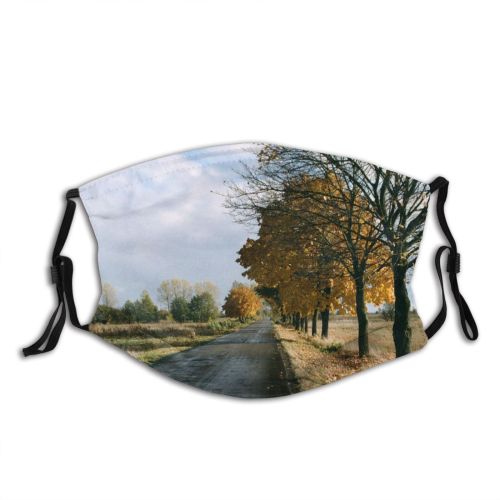 yanfind Natural Area Autumn Woody Rural Landscape Sky Poland Road Leaf Tree Rynarzewo Dust Washable Reusable Filter and Reusable Mouth Warm Windproof Cotton Face