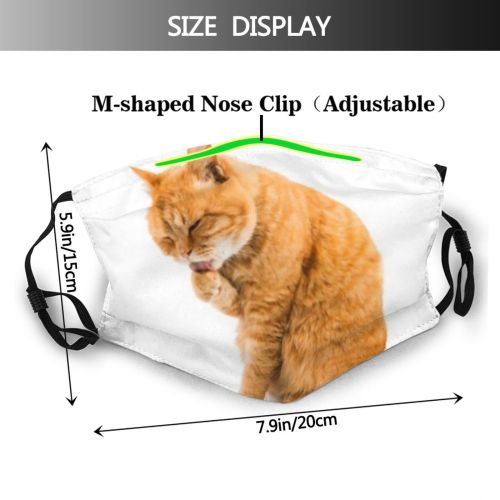 yanfind Disability Isolated Lick Lovely Whisker Young Tidy Cat Cute Shorthair Friendly Muzzle Dust Washable Reusable Filter and Reusable Mouth Warm Windproof Cotton Face