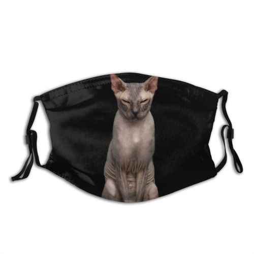 yanfind Isolated Reaching Talk Whisker Naked Cat Sphinx Cute Grumpy Bald Hairless Pedigree Dust Washable Reusable Filter and Reusable Mouth Warm Windproof Cotton Face