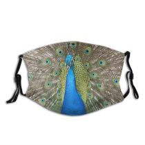yanfind Tail Bird Peafowl Bird Organism Accessory Phasianidae Galliformes Fashion Peacock Wing Beak Dust Washable Reusable Filter and Reusable Mouth Warm Windproof Cotton Face