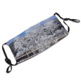 yanfind Winter Cloud Frost Landscape Sky Spring Tree Tree Ice Frost Winter Natural Dust Washable Reusable Filter and Reusable Mouth Warm Windproof Cotton Face