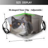 yanfind Family Indoor Pet Prone Eyes Nobody Furry Rest Cat British Cute Fat Dust Washable Reusable Filter and Reusable Mouth Warm Windproof Cotton Face