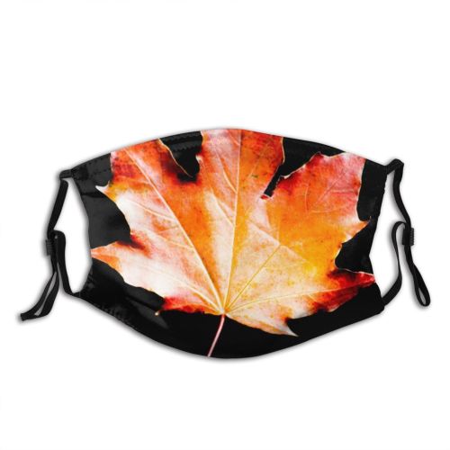 yanfind Maple Autumn Woody Leaves Maple Calm Fall Autumnal Plant Wood Plane Leaf   Dust Washable Reusable Filter and Reusable Mouth Warm Windproof Cotton Face