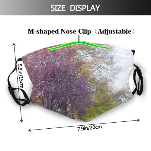 yanfind Colours Landscape Bench Trees Leaf Plant Spring Tree Plant Botany Grass Natural Dust Washable Reusable Filter and Reusable Mouth Warm Windproof Cotton Face