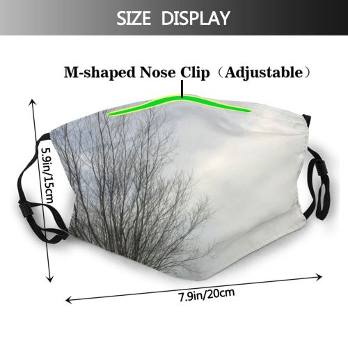yanfind Fog Cloud Landscape Sky Tree Branch Snow Natural Winter Atmospheric Freezing Holland Dust Washable Reusable Filter and Reusable Mouth Warm Windproof Cotton Face