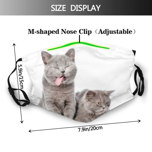 yanfind Isolated Smile Lovely Young Stupid Little Cat Laugh Grey Friendly Makes Muzzle Dust Washable Reusable Filter and Reusable Mouth Warm Windproof Cotton Face