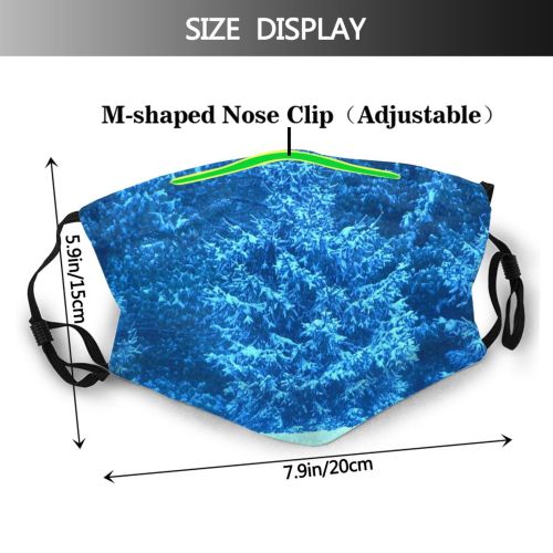 yanfind Holidays Winter Christmas Biology Azure Organism Electric Frost Seasons Cobalt Plants Marine Dust Washable Reusable Filter and Reusable Mouth Warm Windproof Cotton Face