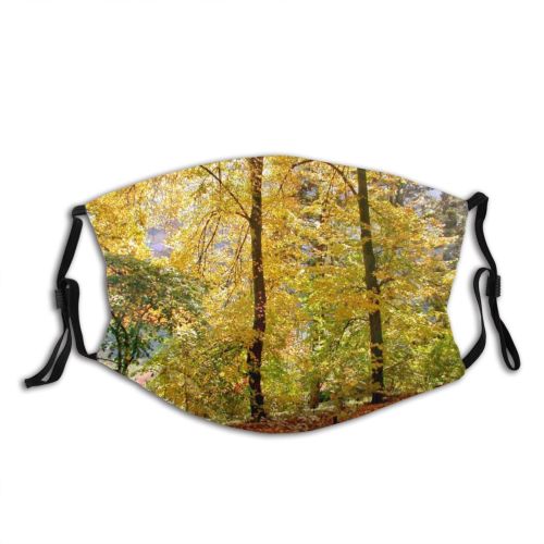 yanfind Natural Yard Autumn Cemetery Woody Friedhof Leaves Austria Fall Forest Churchyard Hardwood Dust Washable Reusable Filter and Reusable Mouth Warm Windproof Cotton Face