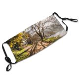 yanfind Public Europe Grass Leaf Landscape Riverbank Tranquility Deciduous Rural Tree Scene Forest Dust Washable Reusable Filter and Reusable Mouth Warm Windproof Cotton Face