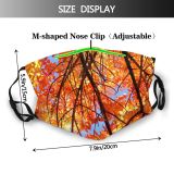 yanfind Leaves Deciduous Forest Hardwood Leaf Sky Northern Tree Branch Plant Autumn Autumn Dust Washable Reusable Filter and Reusable Mouth Warm Windproof Cotton Face