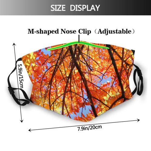 yanfind Leaves Deciduous Forest Hardwood Leaf Sky Northern Tree Branch Plant Autumn Autumn Dust Washable Reusable Filter and Reusable Mouth Warm Windproof Cotton Face