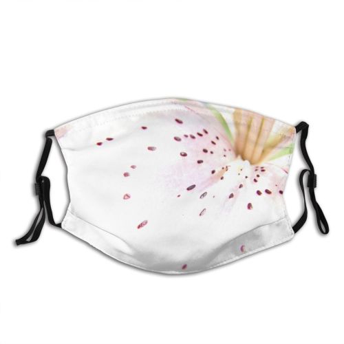 yanfind Lily Motion Fashion Beauty Spots Heart Central Plant Petal Resort Flower Spa Dust Washable Reusable Filter and Reusable Mouth Warm Windproof Cotton Face