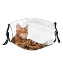 yanfind Isolated Fur Young Cat Cute Macro Bengal Beautiful Pretty Lie Pet Studio Dust Washable Reusable Filter and Reusable Mouth Warm Windproof Cotton Face