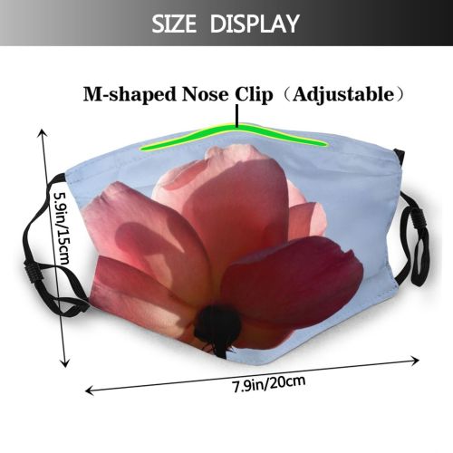 yanfind Flower Blossom Rose Cloud Flowering Sky Plant Plant Botany Petal Daytime Flower Dust Washable Reusable Filter and Reusable Mouth Warm Windproof Cotton Face