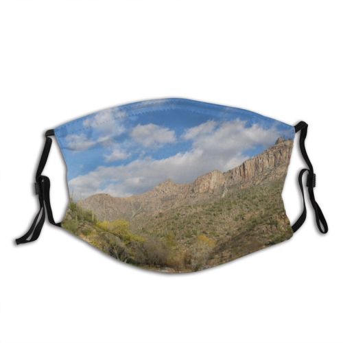 yanfind Foothills Natural Wilderness Canyon Vegetation Mountain Landscape Plant Sabino Community Landforms Mountainous Dust Washable Reusable Filter and Reusable Mouth Warm Windproof Cotton Face