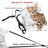 yanfind Isolated Fur Young Cat Cute Shorthair Gazing Pedigreed Leopard Bengal Vertebrate Face Dust Washable Reusable Filter and Reusable Mouth Warm Windproof Cotton Face
