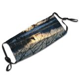 yanfind Winter Landscape Reflection Sky Tree Branch Morning Natural Winter Dust Washable Reusable Filter and Reusable Mouth Warm Windproof Cotton Face